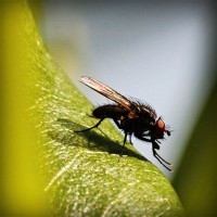 /album/dachornkeetu/photolia-a04-jpg/