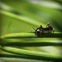 /album/dachornkeetu/photolia-a05-jpg/